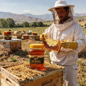 تصویر عسل چند گیاه سبلان 1 کیلوگرم Sabalan Multi-Herb Honey 1kg
