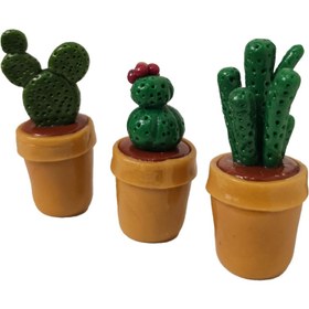 تصویر گل کاکتوس مجموعه 3 عددی 