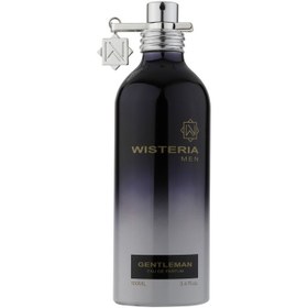 تصویر عطرادکلن جنتلمن ویستریا | WISTERIA GENTLEMAN 