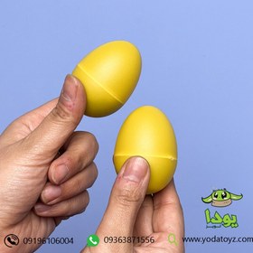 تصویر شیکر تخم مرغی 