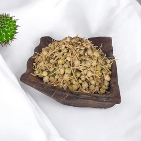 تصویر اسپند نخودی 