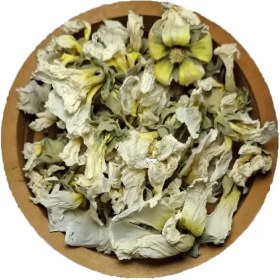 تصویر گل ختمی سفید 