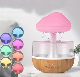 تصویر قارچ باران ساز 