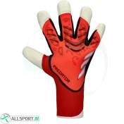تصویر دستکش دروازه بانی آدیداس پردیتور Adidas Predator Pro 