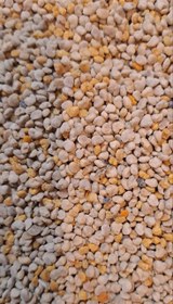 تصویر گرده گل ایرانی 70گرمی 