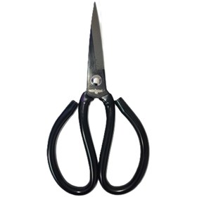 تصویر قیچی کلاغی 