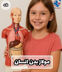 تصویر مولاژ نیم تنه ماهیچه 