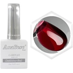 تصویر لمینت بیلدر ژل آنالیز 