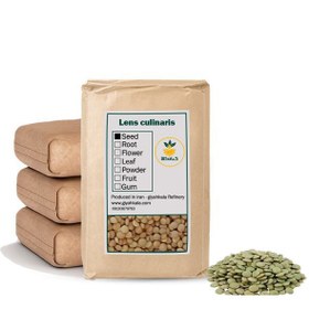 تصویر عدس خشک فله 