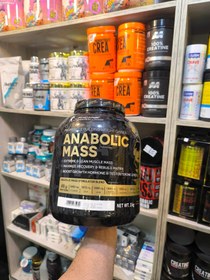 تصویر گینر کوین آنابولیک 