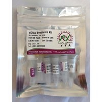 تصویر کیت سنتز سی دی اِن ای، cDNA synthesis Kit یکتا تجهیز کد YT4500 