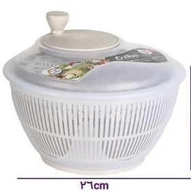 تصویر سبزی خشک کن چیلان 