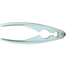 تصویر گردو شکن 