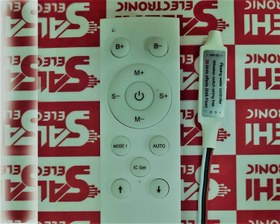 تصویر ریموت کنترل رانینگ برای ریسه های رانینگ