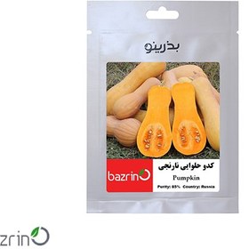 تصویر بذر کدو حلوایی نارنجی آرکا بذر ایرانیان Orange Winter Squash Arka Bazr Iranian Seeds