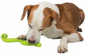 تصویر لوازم سگ برند زوو ( ZOO ) اسباب بازی جایزه سگ Trixie ، مار سبز ، Tpr ، 42 سانتی متر – کدمحصول 244821 