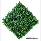 تصویر گرین وال ریحون جنس خوب 