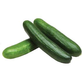 تصویر خیار رسمی درجه یک – 1 کیلوگرم 