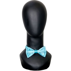 تصویر پاپیون آبی روشن 