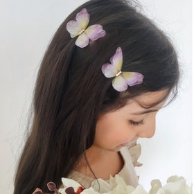 تصویر گیره پروانه حریر سری 2 