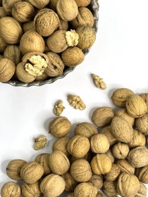 تصویر گردو با پوست تویسرکان 