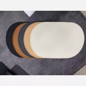 تصویر زیر بشقابی بیضی WS60 