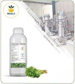 تصویر روغن خرفه 