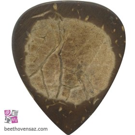 تصویر پیک چوبی گیتار کلایتون مدل Exotic Coconut CHS3 بسته‌ 3 عددی 