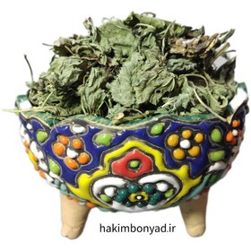 تصویر گیاه بادرنجبویه 