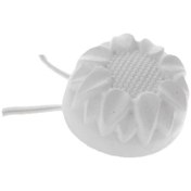 تصویر سنگ کلسیم جوندگان مدل C-J-0001-وزن 100 گرم 