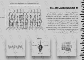 تصویر حفاظ شاخ گوزنی تراکم 44 ردیف 