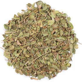 تصویر گیاه آویشن 