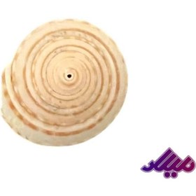 تصویر صدف کد 1170026 