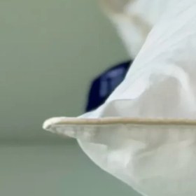 تصویر بالش مدل Bamboo Maya برند Othello 