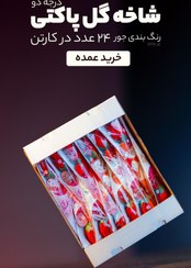 تصویر شاخه گل مخملی ۲۴ عددی در ۶ طرح 