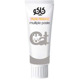 تصویر خمیر مینرال و مولتی ویتامین گربه کاکو مدل Multi Paste وزن 100 گرم 