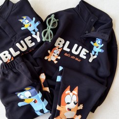 تصویر ست یقه دیپلمات بلویی 