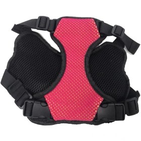 تصویر هارنس تنی Paladin 