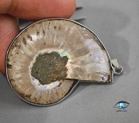 تصویر فسیل آمونیت 10 گرم 