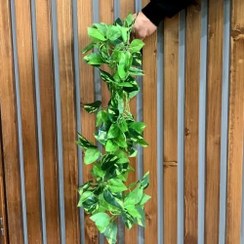 تصویر آویز گل مصنوعی پتوس ابلق کد 2 