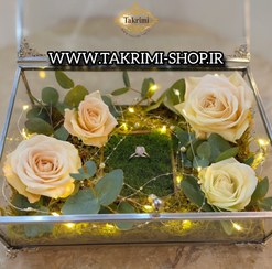 تصویر باکس شیشه ای خواستگاری خاستگاری شیرینی مینی کاپ کیک باقلوا درب دار مستطیل ( کوچک ) نقره ای جنس شیشه ای و استیل خالص 