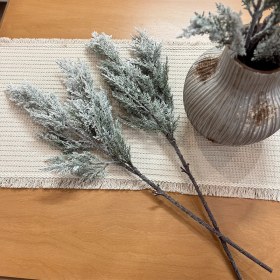 تصویر بوته کاج برفی 