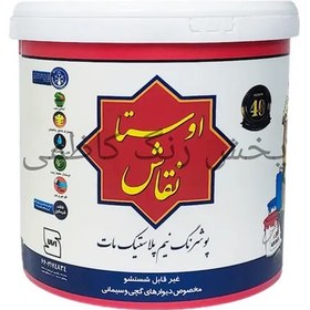 تصویر رنگ پلاستیک اوستا نقاش الوان 12.5kg 