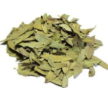 تصویر برگ سنا 