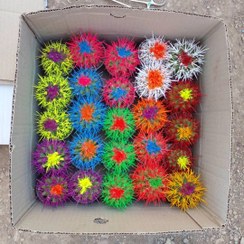 تصویر کاکتوس اچینو رنگی ۲۵ عددی در گلدان 