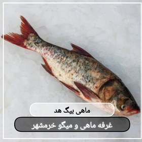 تصویر ماهی بیگ هد(کپور سرگنده) سایز بزرگ تازه و صید روز (پک یک کیلویی)بسیار خوشمزه و لذیذ مناسب برای کباب کردن و سرخ کردن 