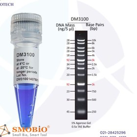 تصویر لدر 1KB DNA، محصول اسمو بایو، 500μl، کت نامبر DM3100 