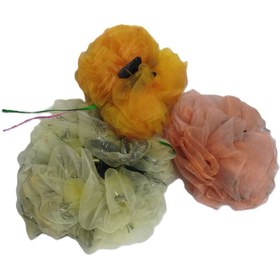 تصویر کلیپس 