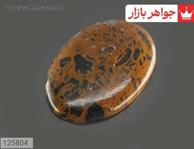 تصویر نگین جاسپر خوش طرح کد 125804 