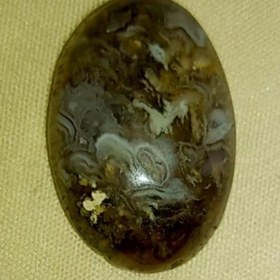 تصویر نگین شجر 